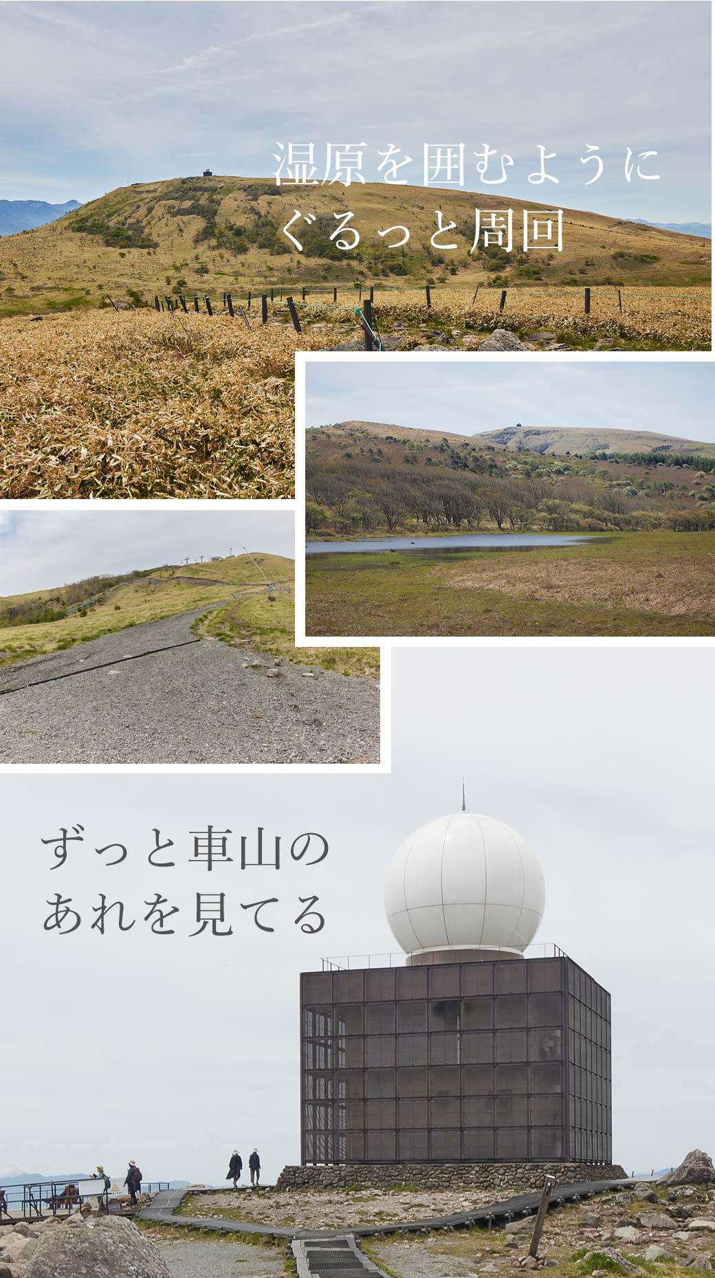 霧ヶ峰 八島湿原