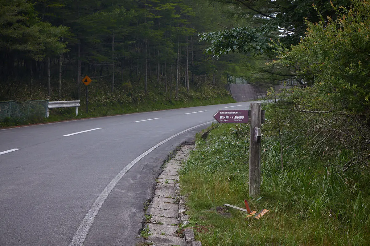 霧ヶ峰登山 霧ヶ峰-車道を少しだけ歩いて入口へ