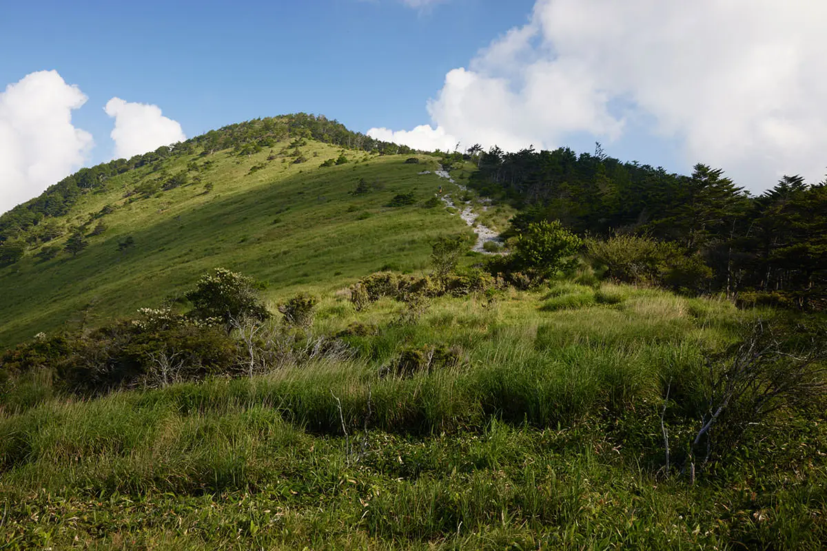 霧ヶ峰登山 霧ヶ峰-鷲ヶ峰を振り返る