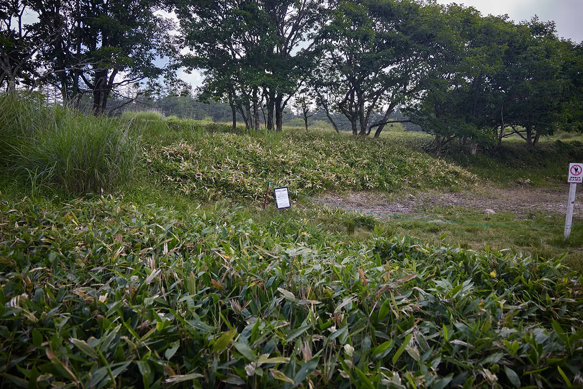 霧ヶ峰登山 霧ヶ峰-広い道から左へ曲がってゼブラ山へ