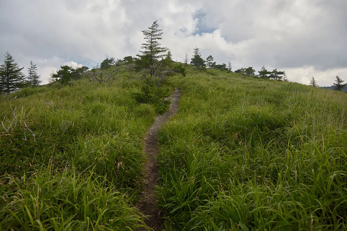 霧ヶ峰登山 霧ヶ峰-なだらかに登って男女倉山はすぐそこ