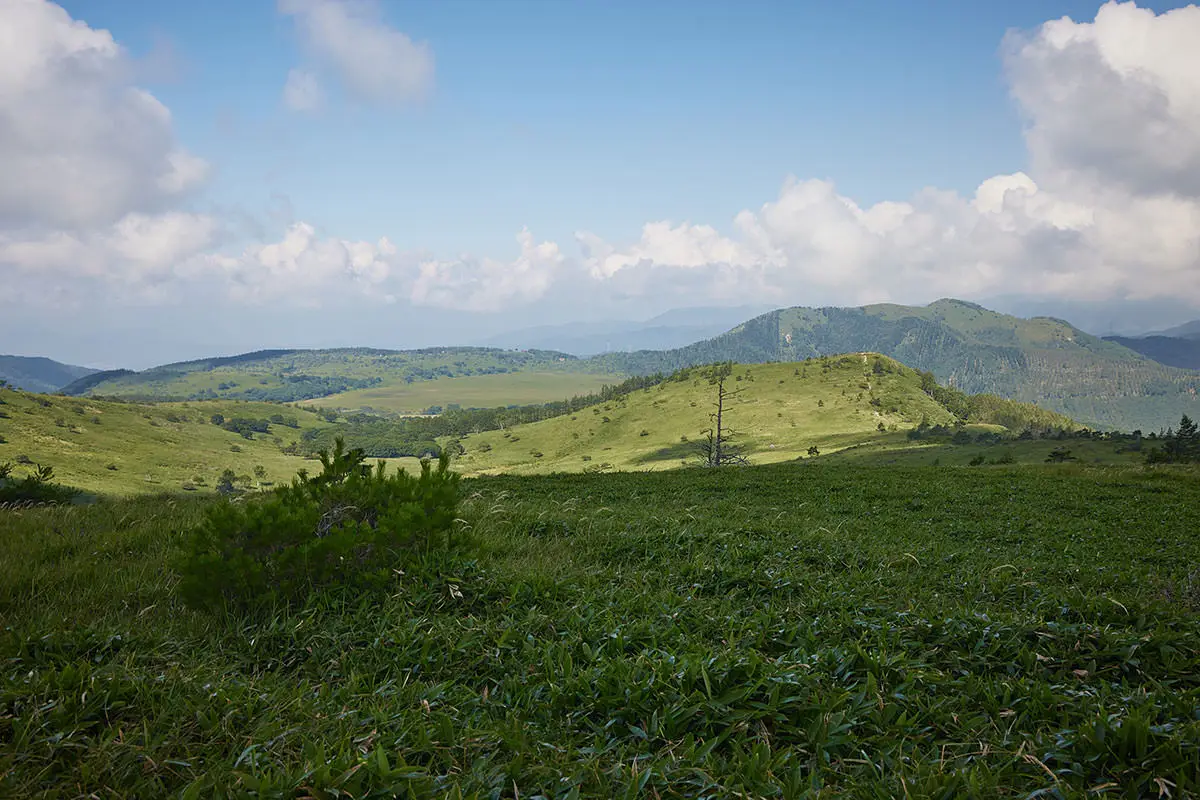 霧ヶ峰登山 霧ヶ峰-北の耳から八島湿原を見る