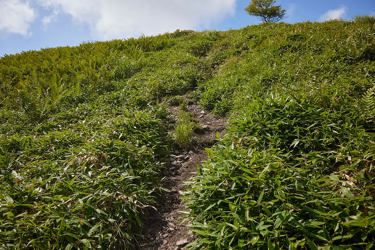 霧ヶ峰登山 霧ヶ峰-南の耳の手前は急な登り坂