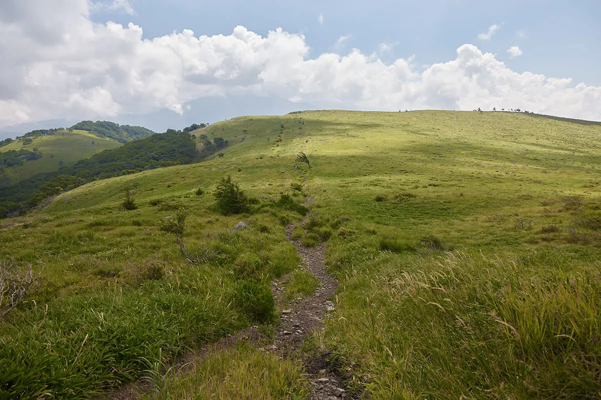 霧ヶ峰登山 霧ヶ峰-広い草原を歩く