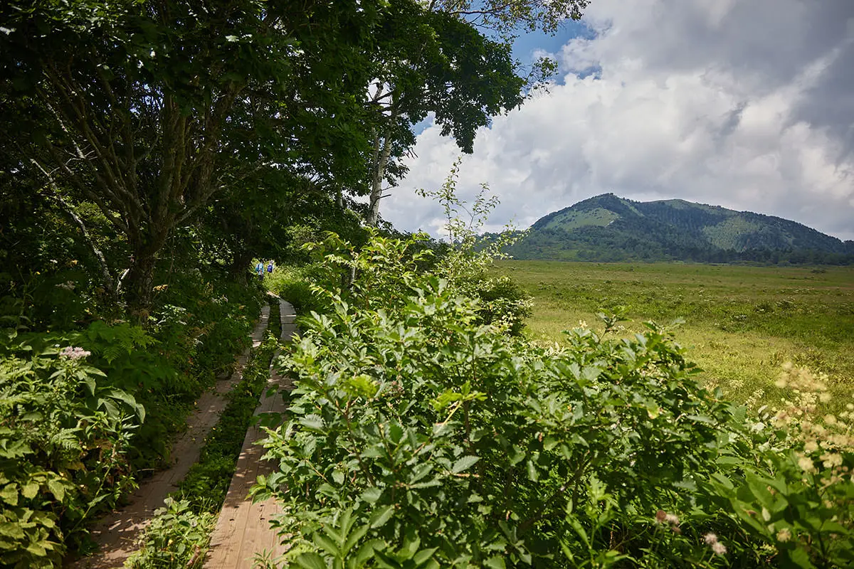 霧ヶ峰登山 霧ヶ峰-八島湿原の向こうには鷲ヶ峰