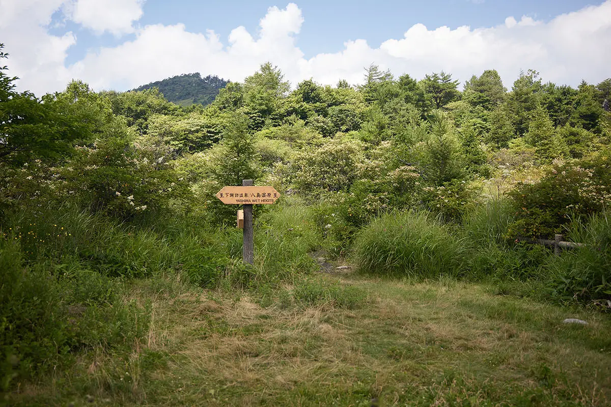 霧ヶ峰登山 霧ヶ峰-ここから鷲ヶ峰へ登り返す