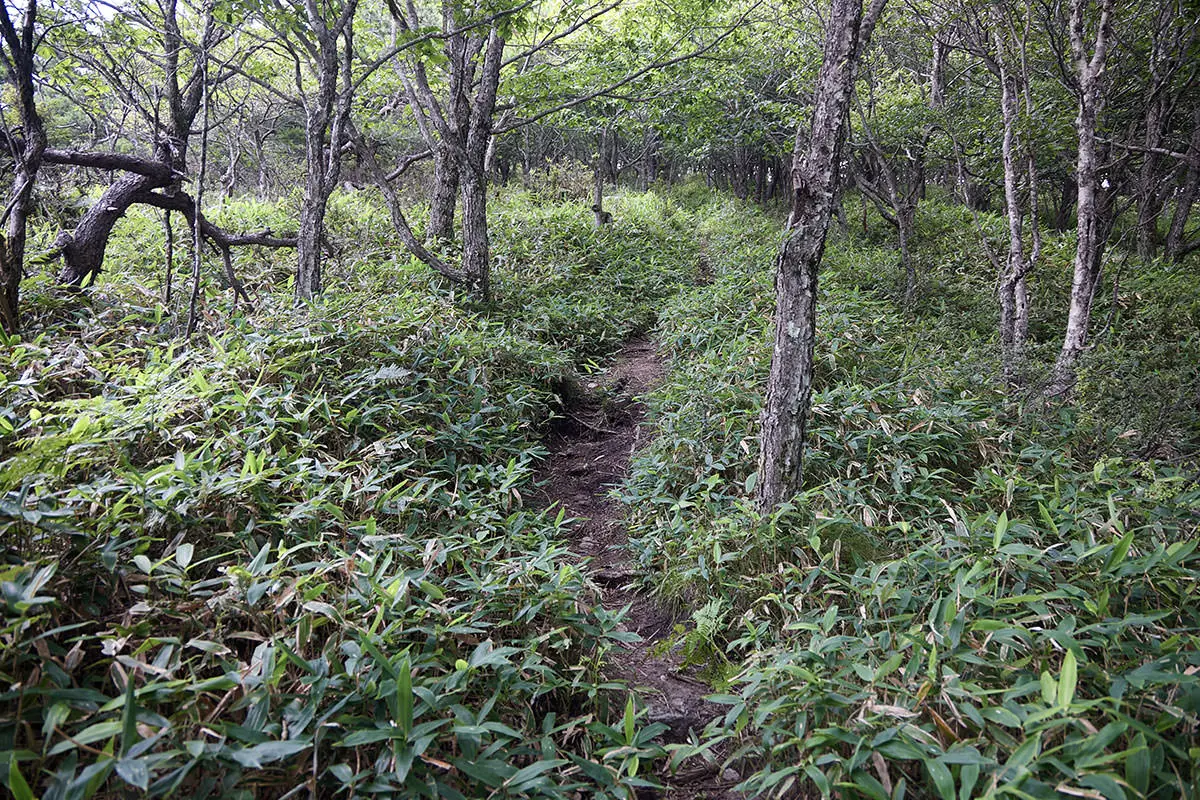 霧ヶ峰登山 霧ヶ峰-最後の登り返しはキツい