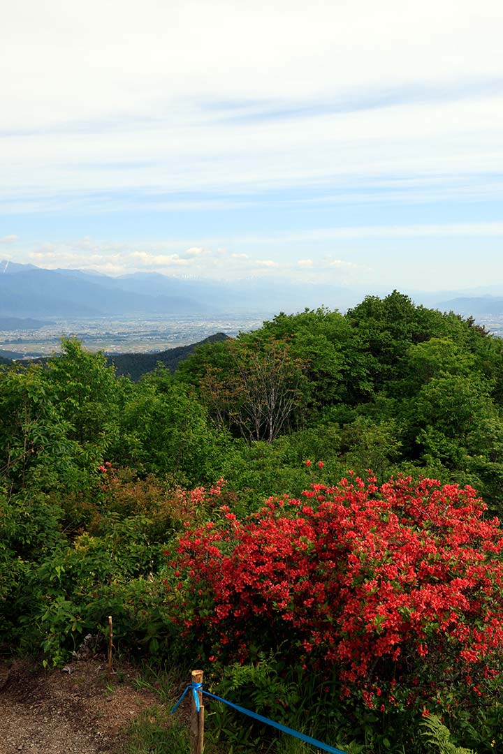 霧訪山