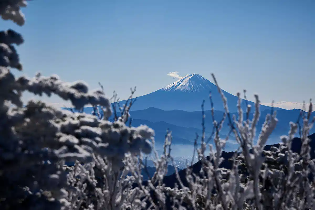 甲武信ヶ岳登山 甲武信ヶ岳-富士山の存在感が強い