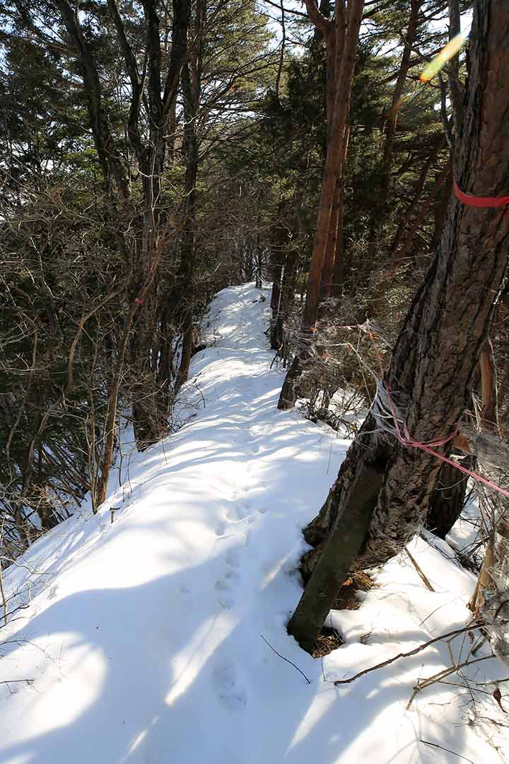 子檀嶺岳 冬（田沢嶺浦コース） （2月）｜最短距離で登る冬の好展望の山
