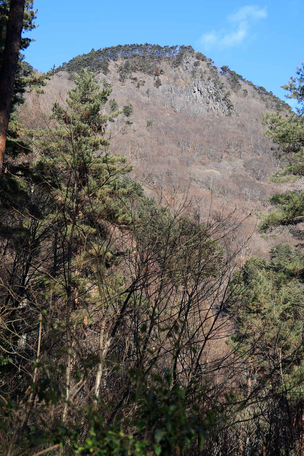 子檀嶺岳　村松西洞 （1月）｜岩壁を見る急登のコース