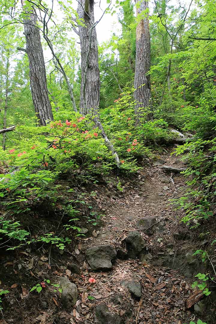 高社山 登山 （5月）｜十三仏を祀る信仰の赤岩口登山道