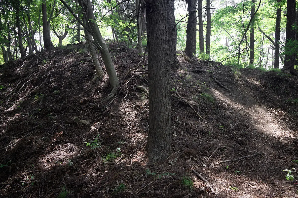 鞍骨山登山 天城山の間近まで登ってきた