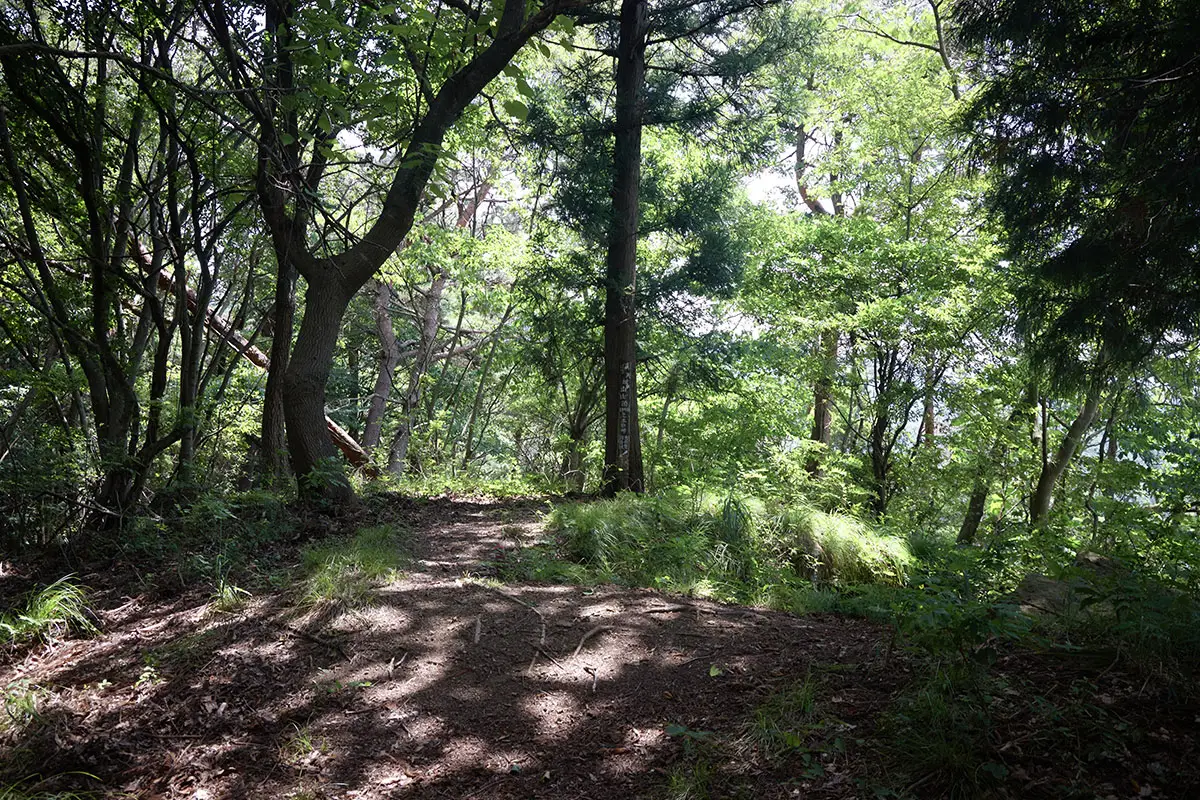 鞍骨山登山 天城山に着いた