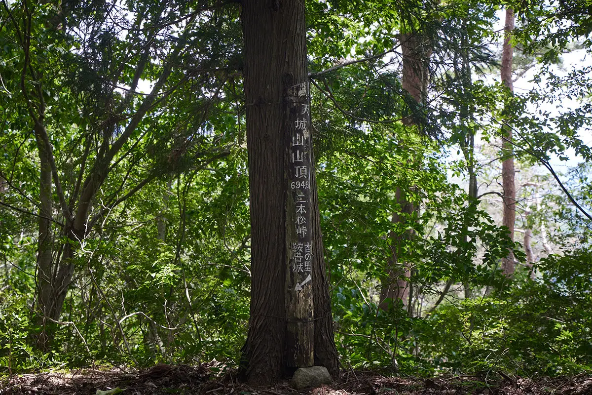 鞍骨山登山 山頂標