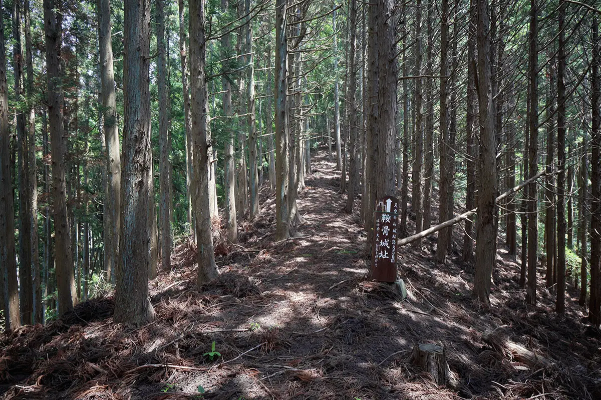 鞍骨山登山 鞍骨山まで850m