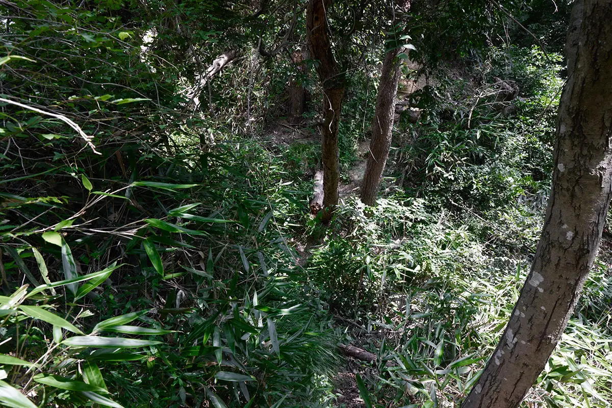 鞍骨山登山 堀切が深い