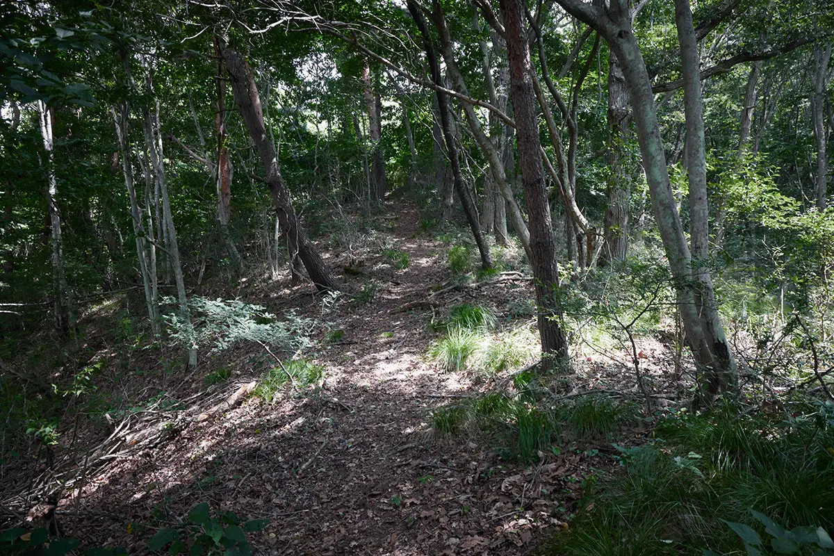 鞍骨山登山 序盤の尾根と比べて広い