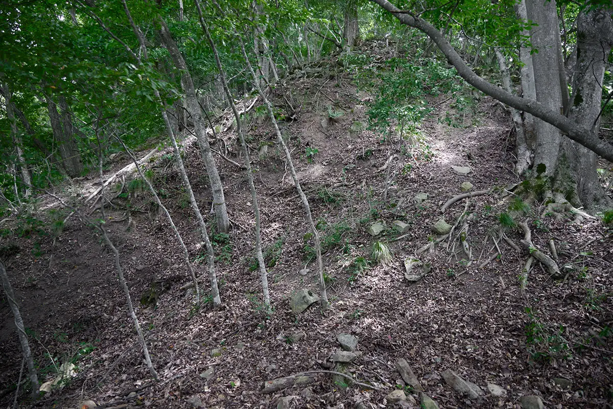 鞍骨山登山 高い石積みの前に出た