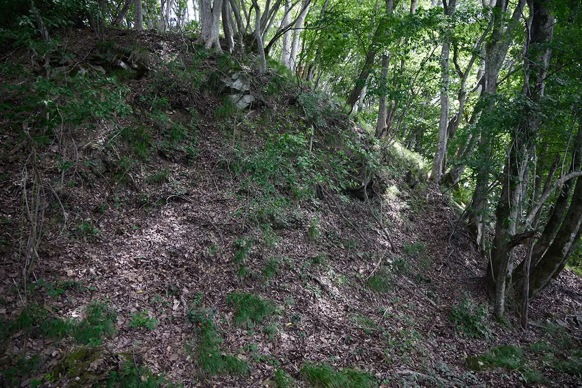 鞍骨山登山 踏み跡があるようで無い