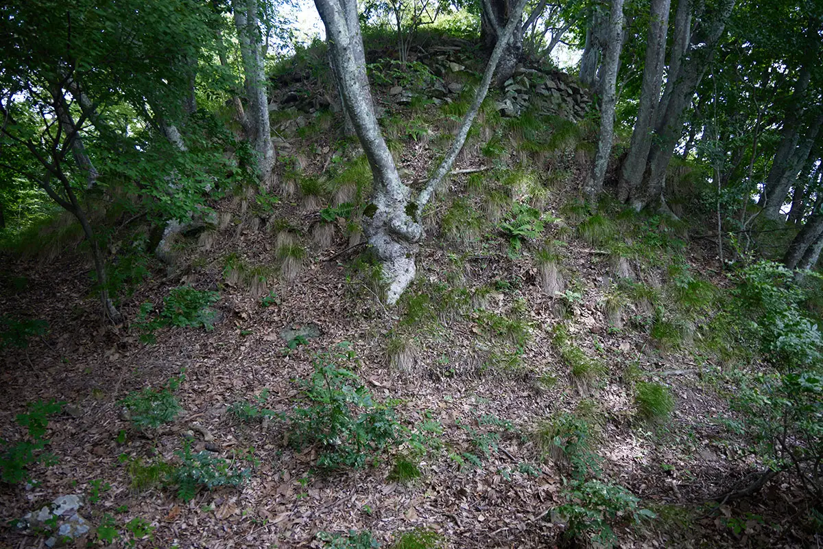 鞍骨山登山 さらに一段あって山頂