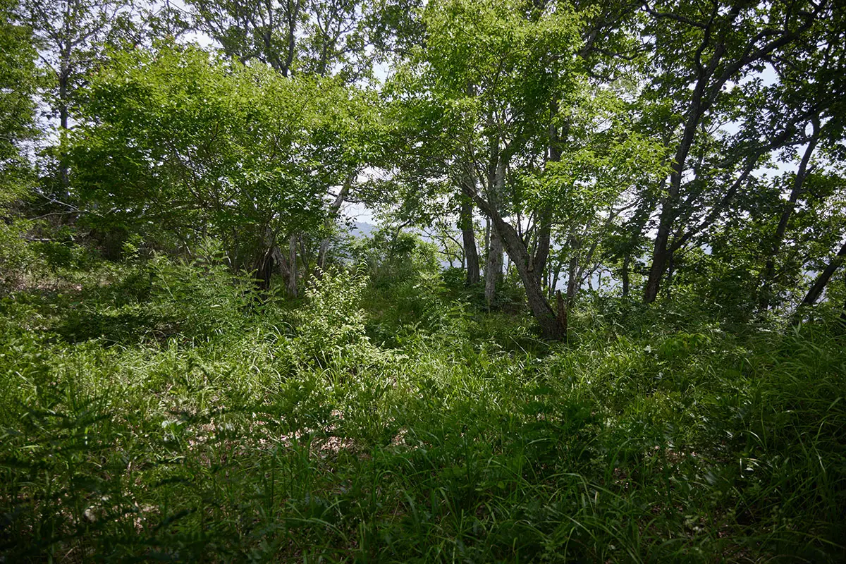 鞍骨山登山 鞍骨山の山頂に着いた