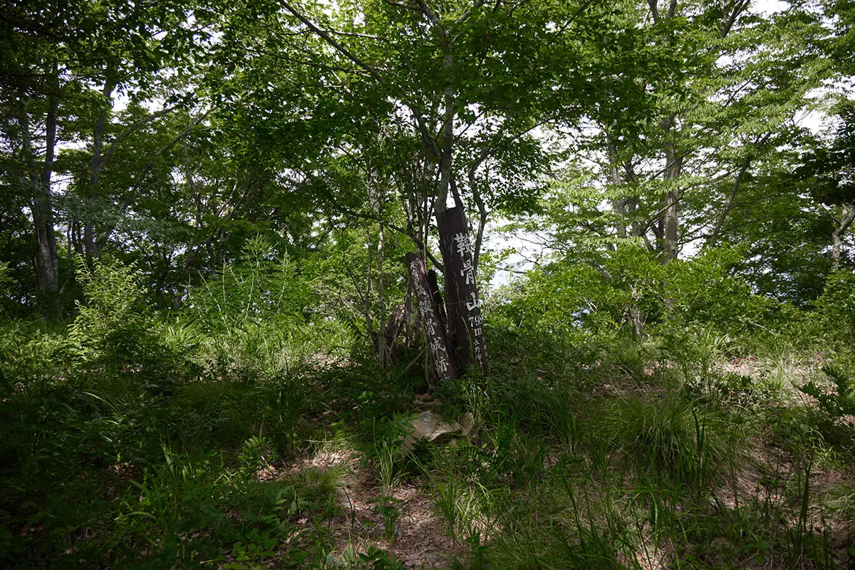鞍骨山登山 山頂には草がいっぱい