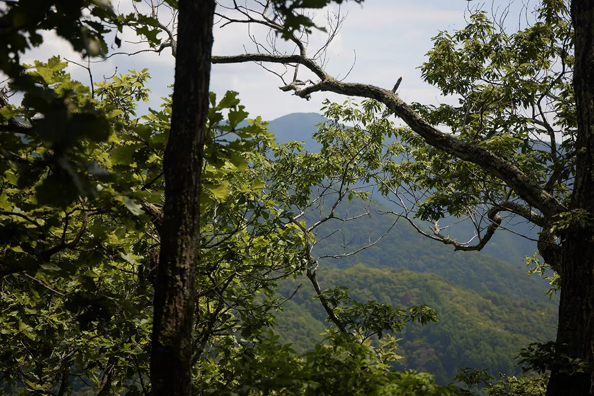 鞍骨山登山 あれが鏡台山か？
