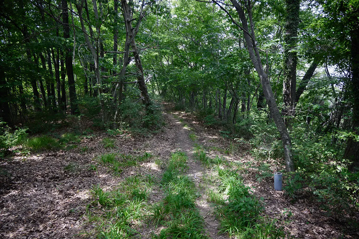 鞍骨山登山 陣場近くの登り返しから右側へ入れそう