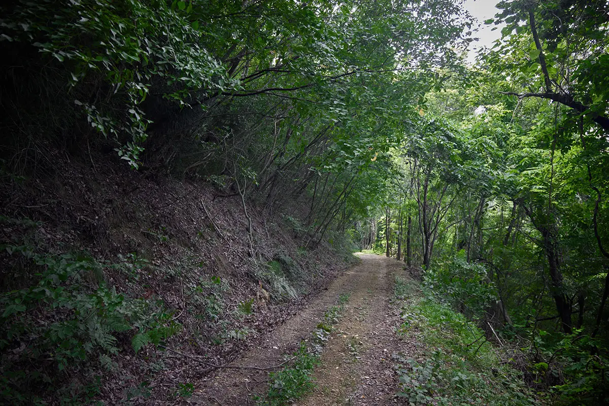鞍骨山登山 林道を登山口へ向かう