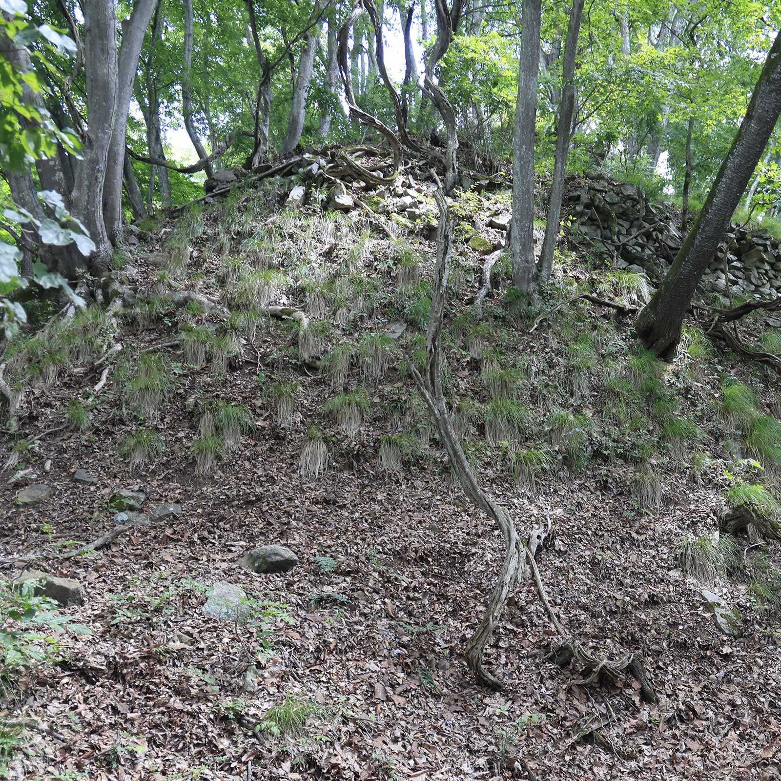 鞍骨山 （8月）｜妻女山から登る城跡の山