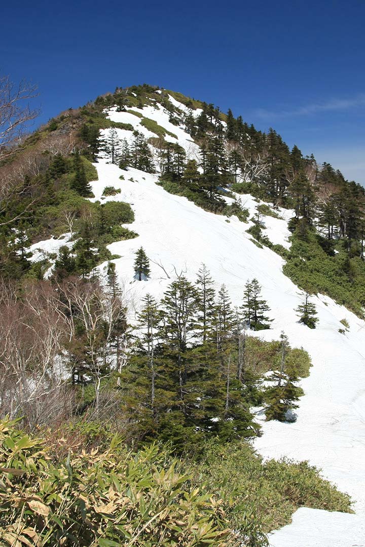 黒姫山　登山（西新道） （5月）｜山頂からの絶好の眺めと高妻山