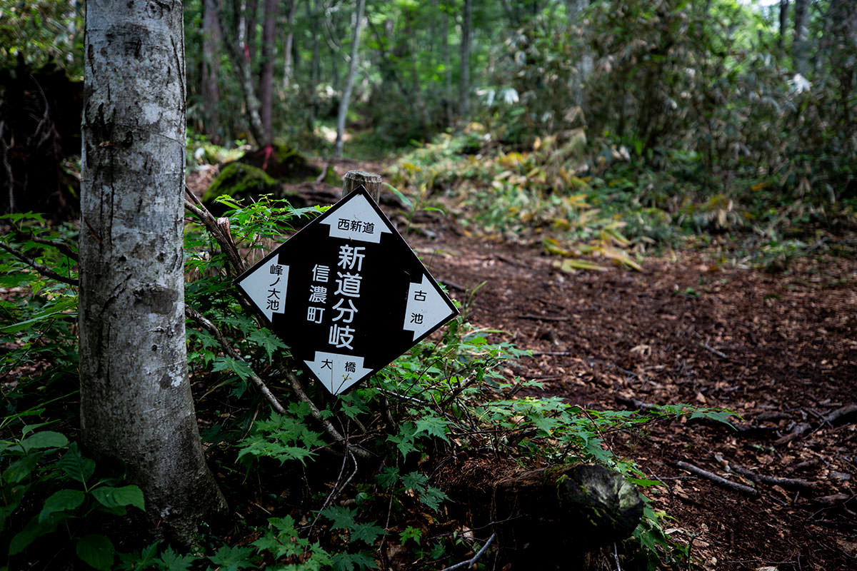 黒姫山 西新道西登山道 7月 大橋からの周回登山 登山百景