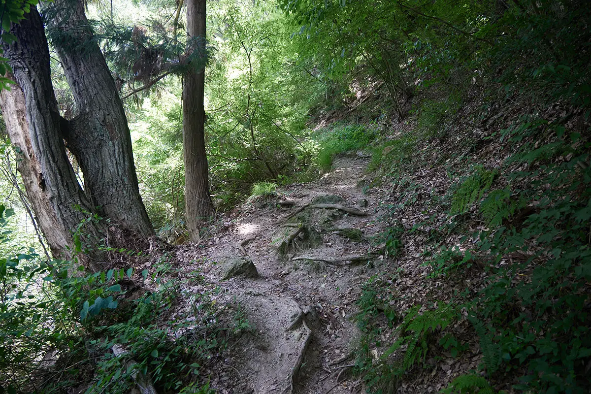 薬山登山 登山道は蒸し暑い