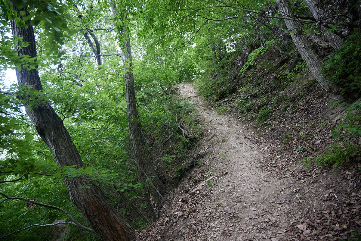 薬山登山 狭い登山道を登る