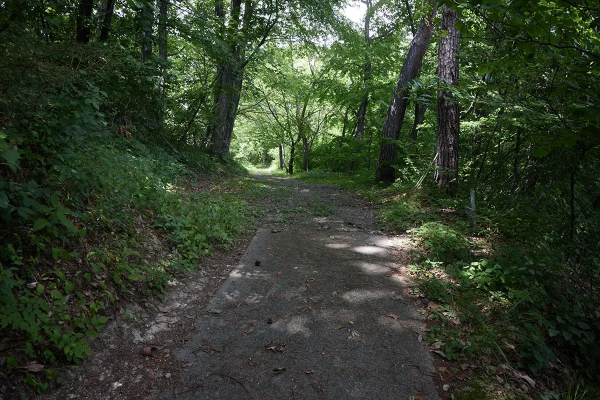 薬山登山 舗装の道路が一番の急勾配