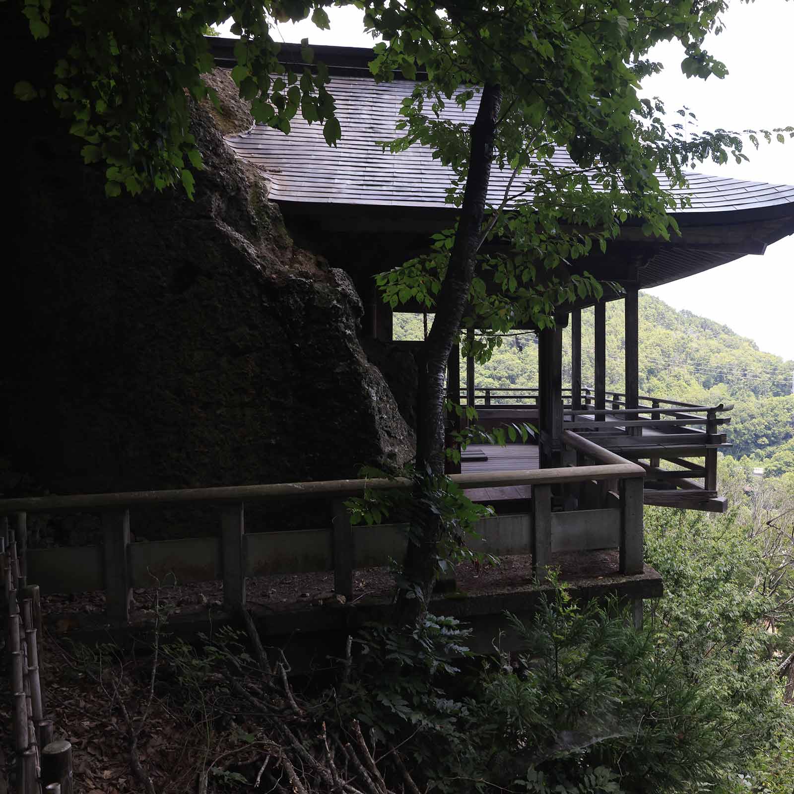 猛暑の里山登山 （7月）｜薬山の往復ピストン