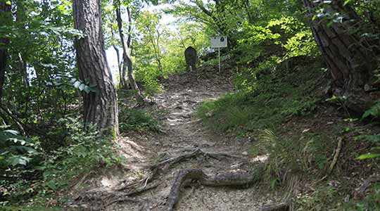 薬山 八櫛神社