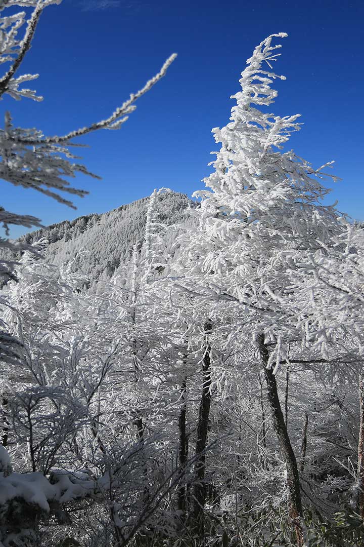 経ヶ岳　登山（仲仙寺） （12月）｜霧氷に囲まれた雪の登山道を登る