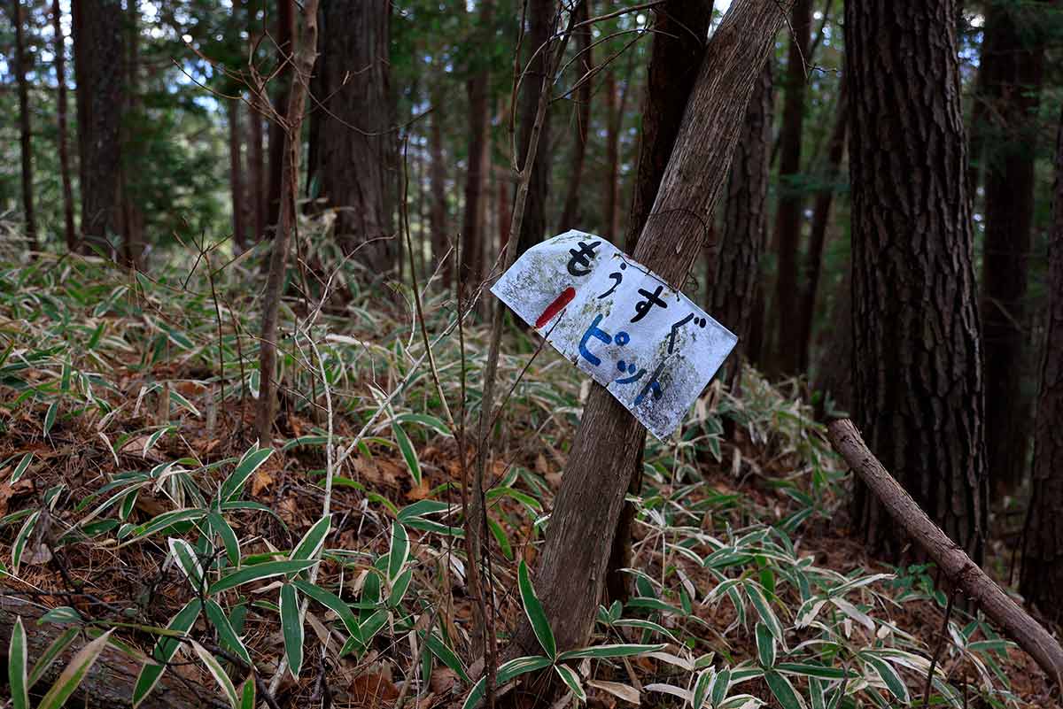 経ヶ岳登山 1ピットってなんだ？