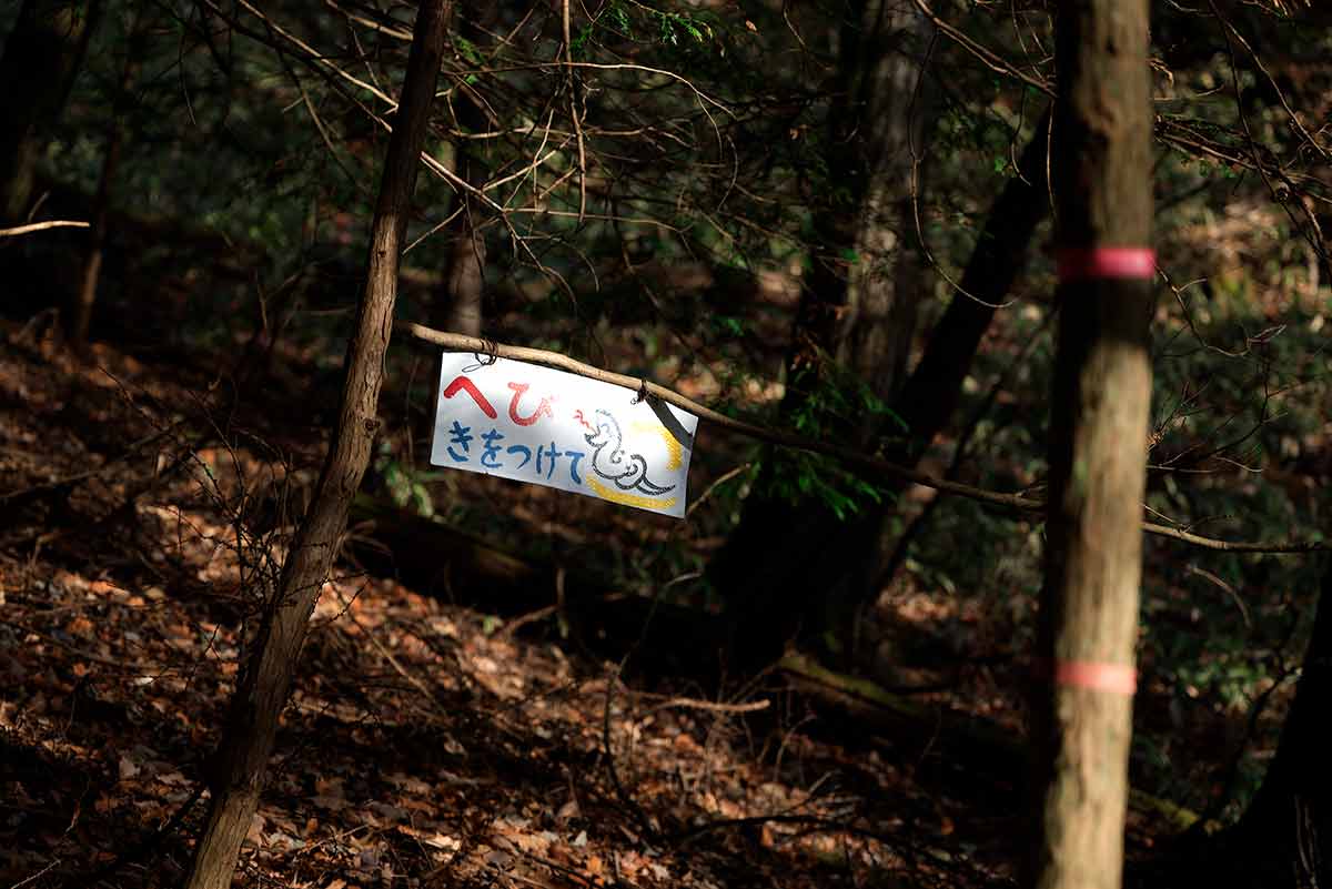 経ヶ岳登山 ヘビもいるのか