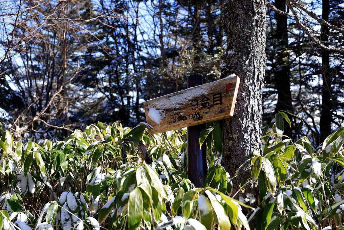 経ヶ岳登山 さっき通ったはずの9合目がまた