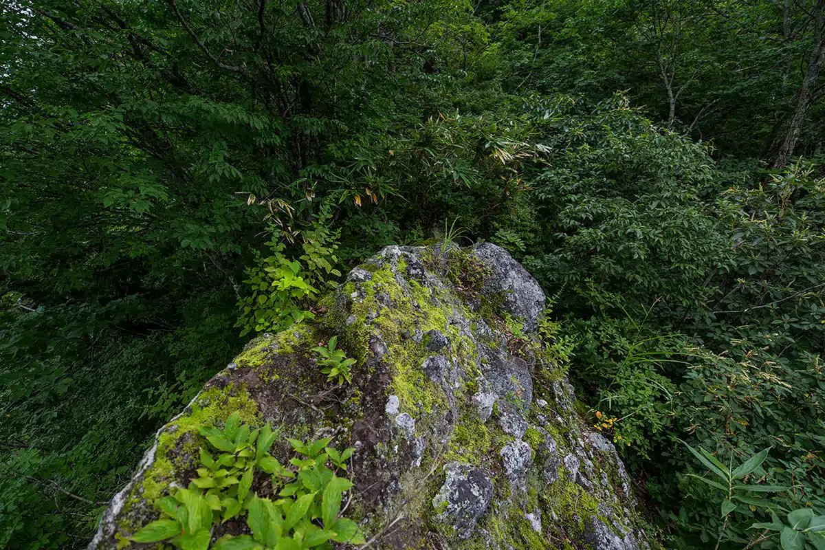 万仏山登山 万仏山-平均台のような石の上は湿気た苔