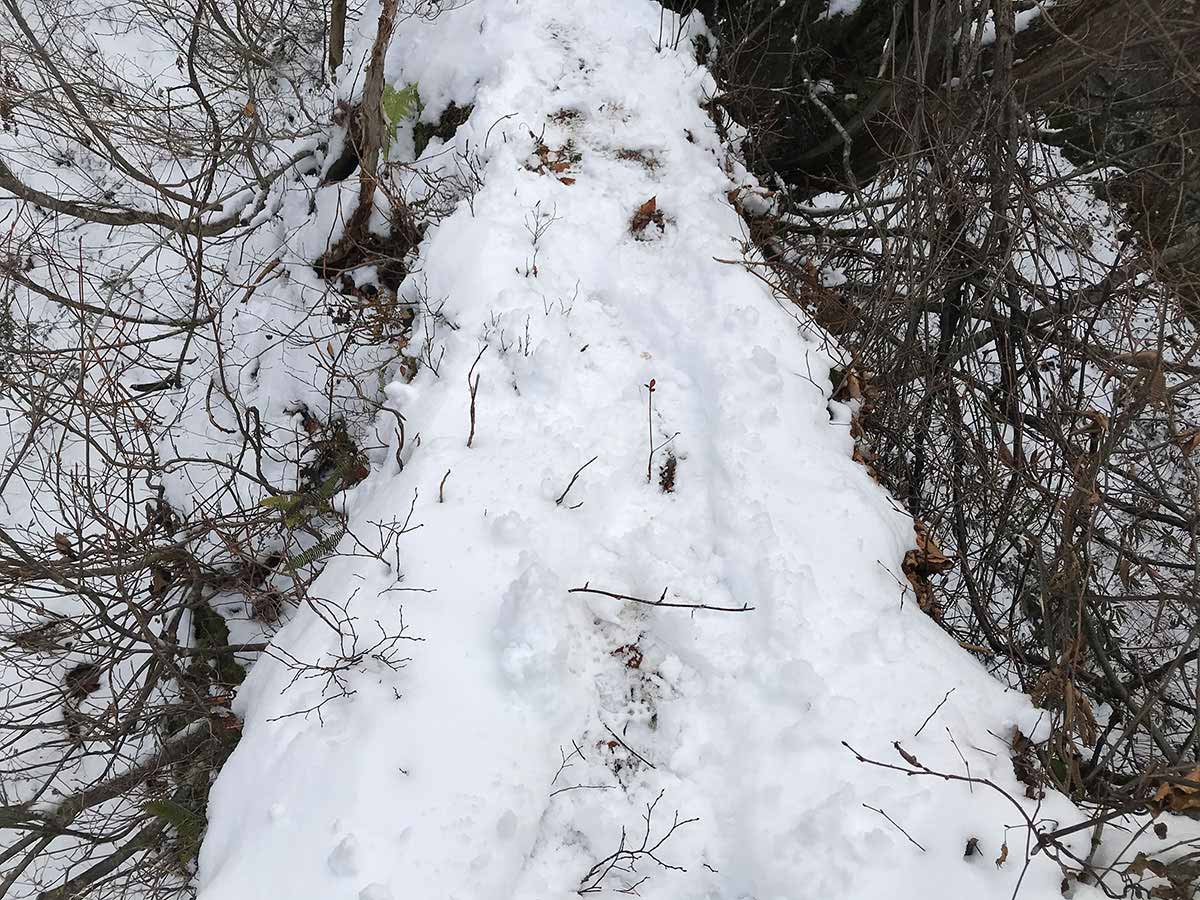 万仏山登山 ！？