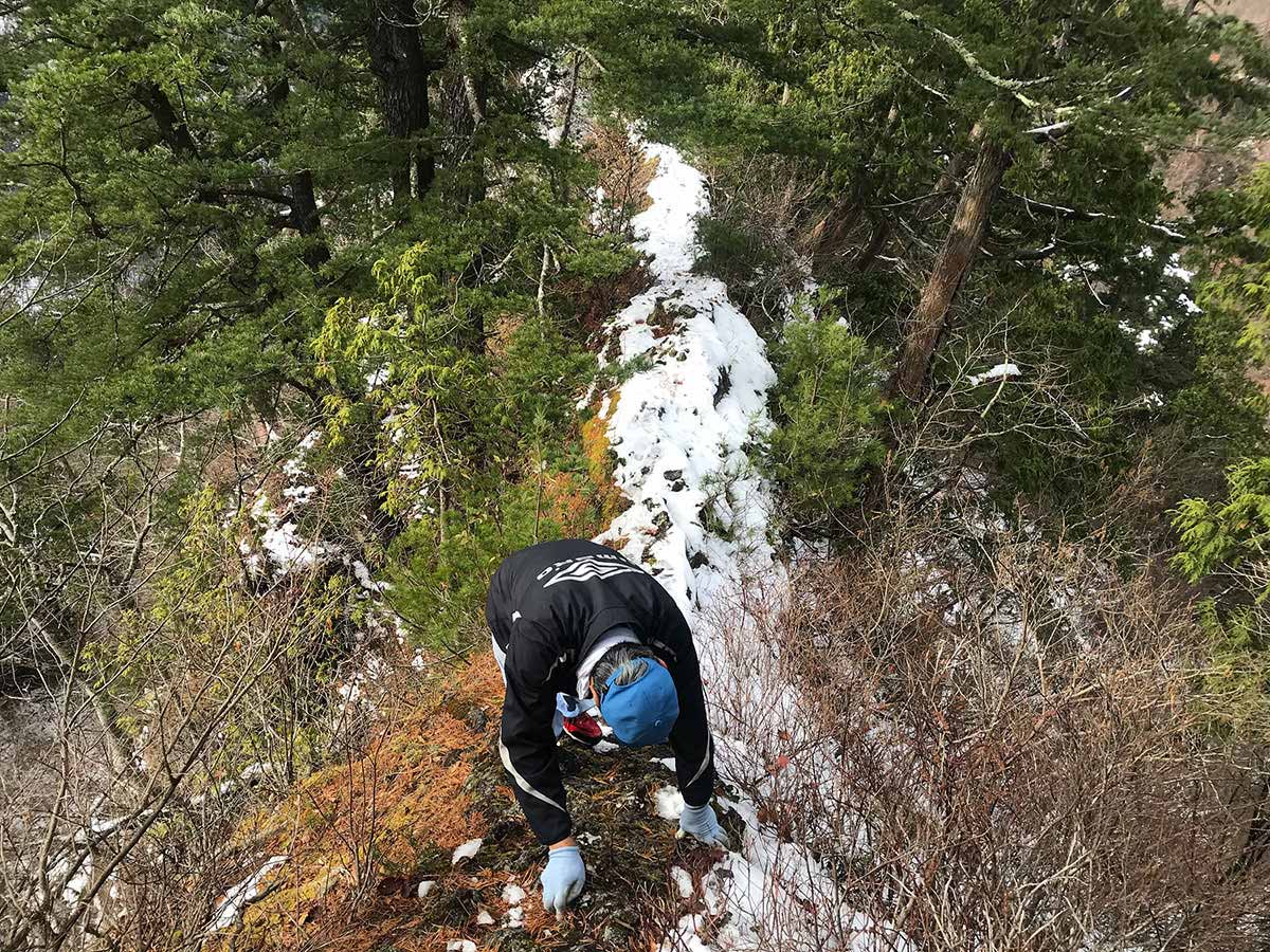 万仏山登山 ！？