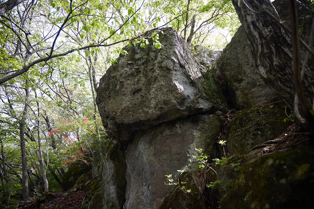 蓑堂山登山 岩を登るか横の踏み跡を行くか