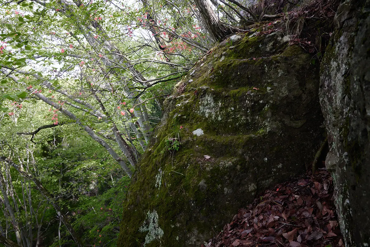 蓑堂山登山 岩に段差が掘ってある