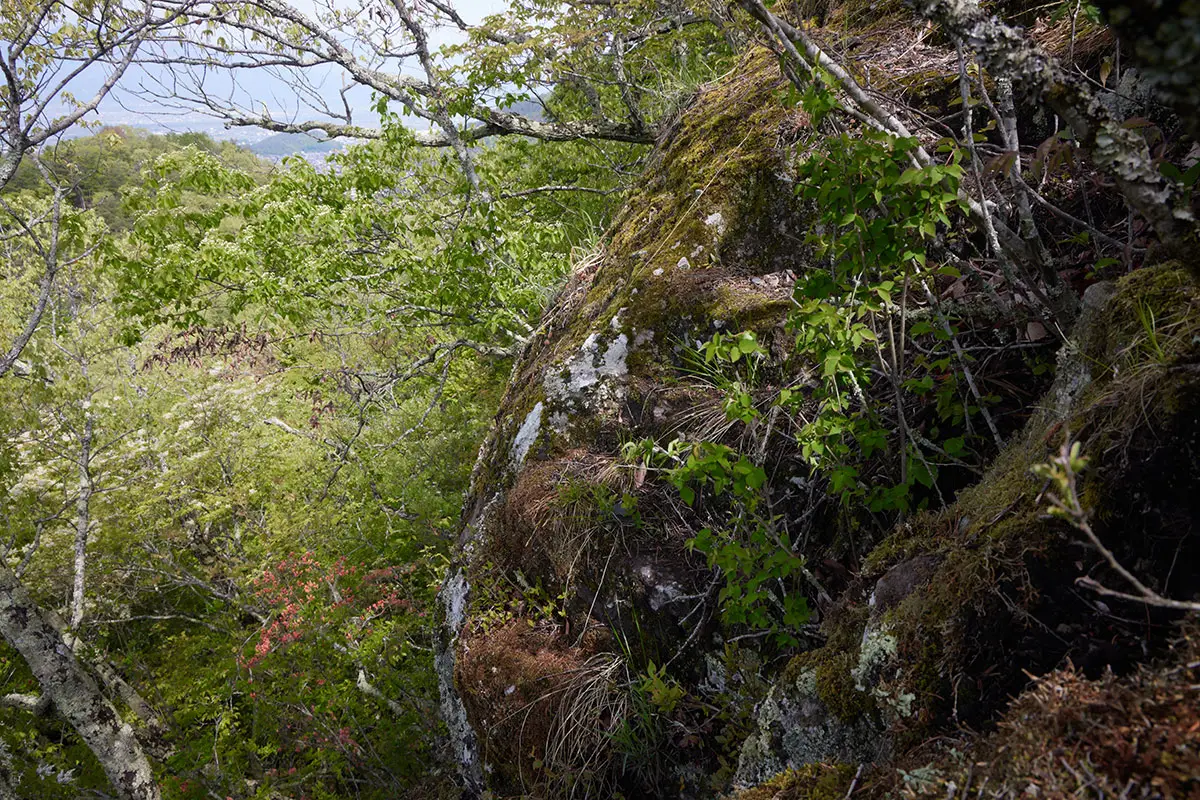 蓑堂山登山 段差の向こうはけっこうな高さ