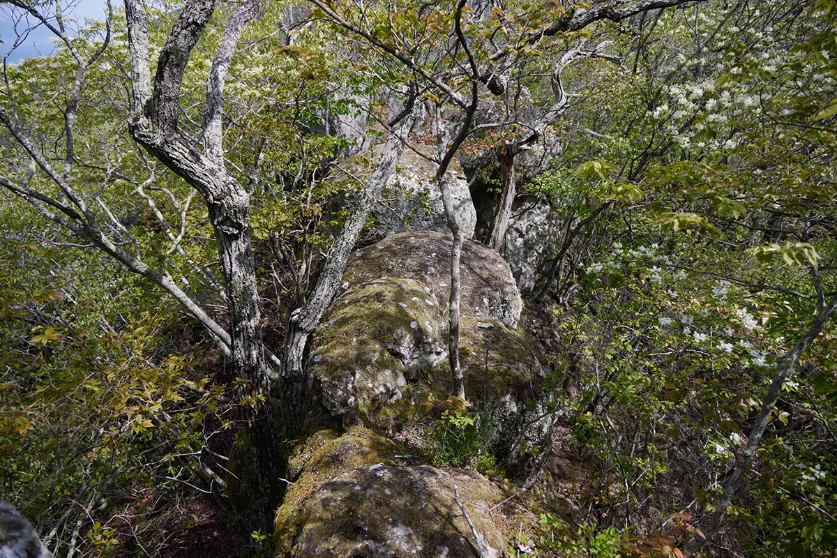 蓑堂山登山 横はそれなりに高いのと、岩と岩の間もけっこう開いてる