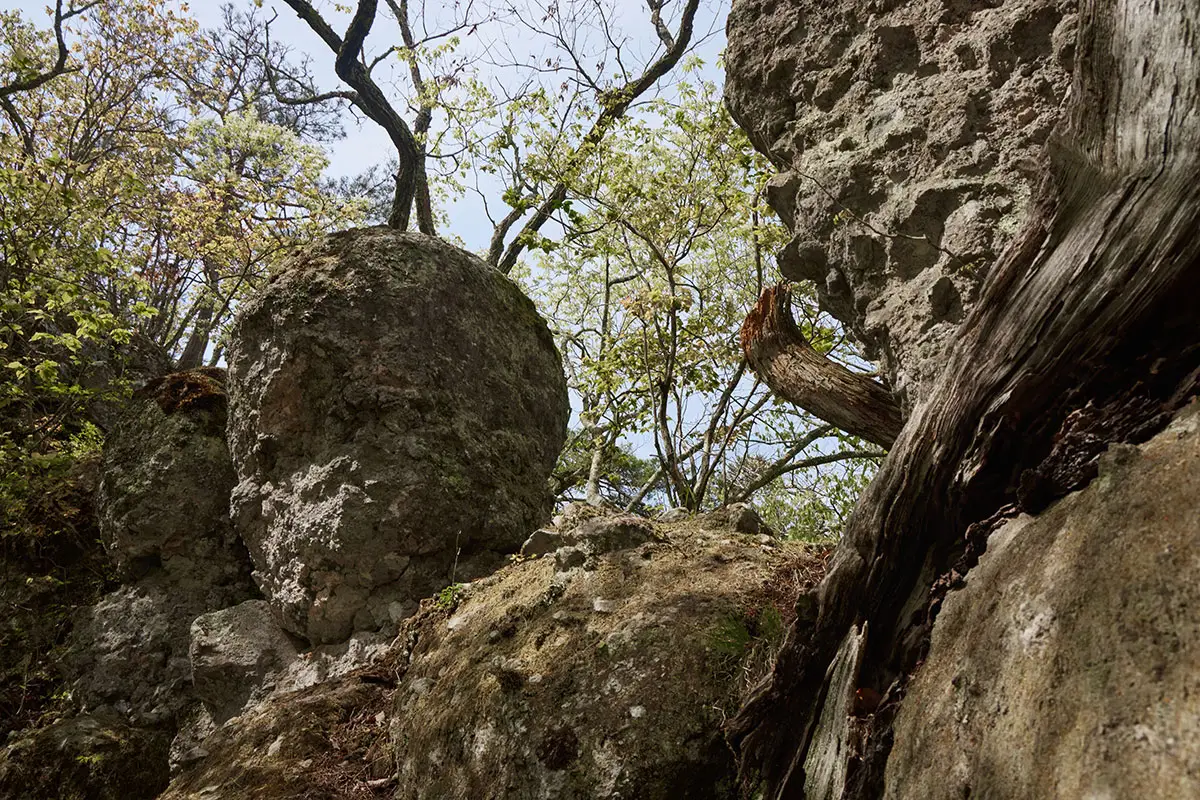 蓑堂山登山 岩から下りて、立っていたところを振り返る